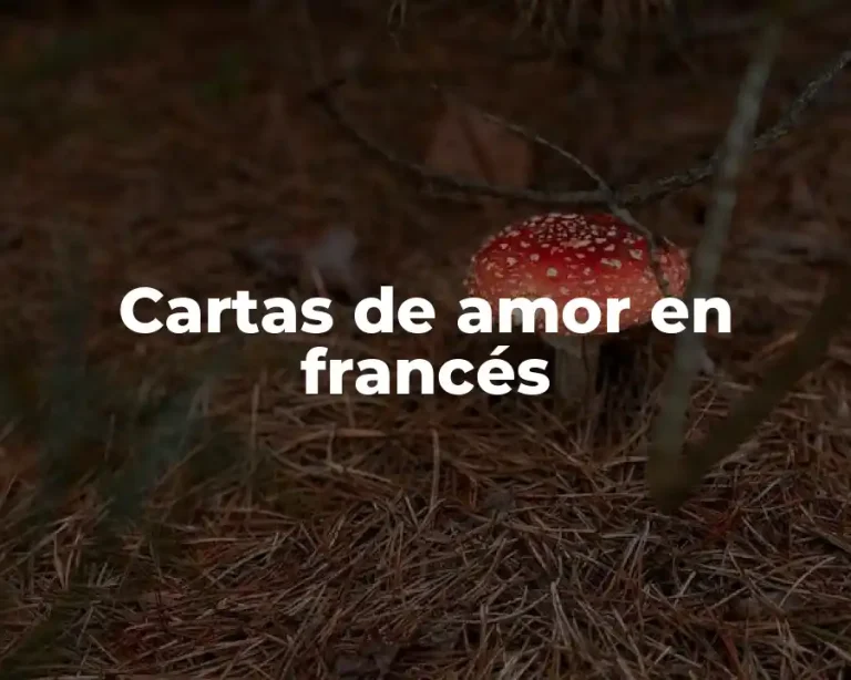 Cartas de amor en francés