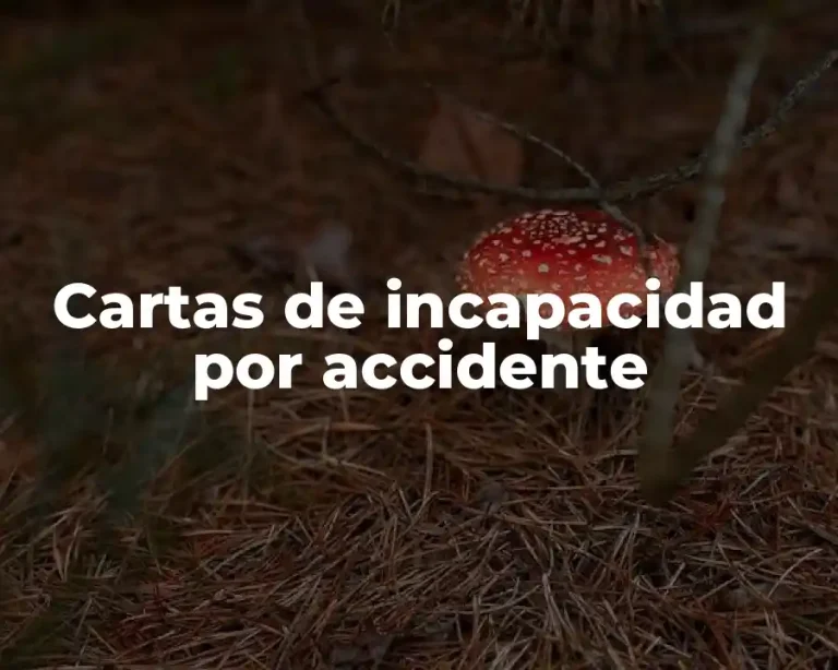 Cartas de incapacidad por accidente