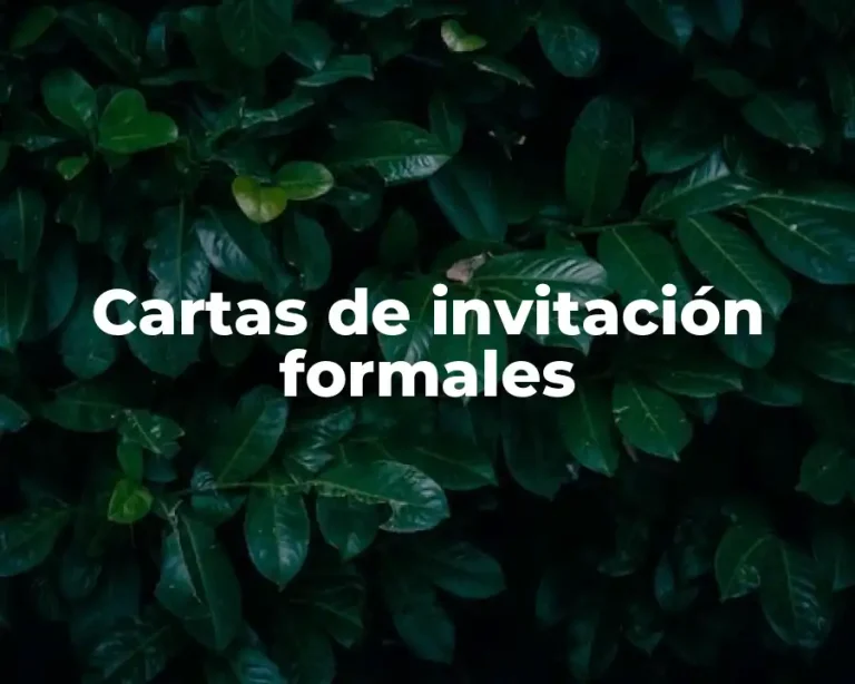 Cartas de invitación formales