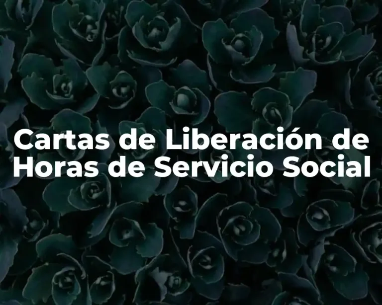 Cartas de Liberación de Horas de Servicio Social
