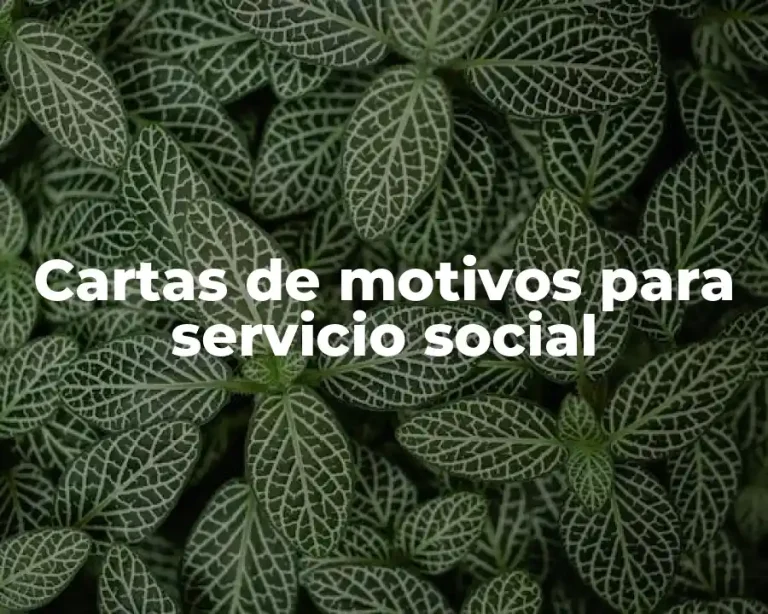 Cartas de motivos para servicio social