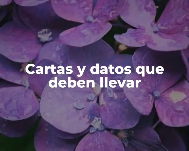 Cartas y datos que deben llevar