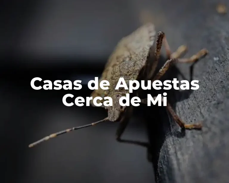 Casas de Apuestas Cerca de Mi