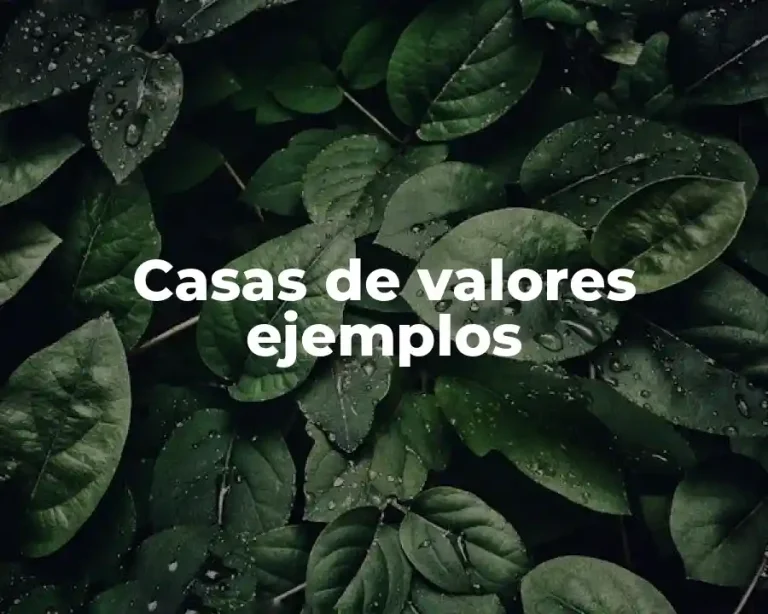 Casas de valores ejemplos