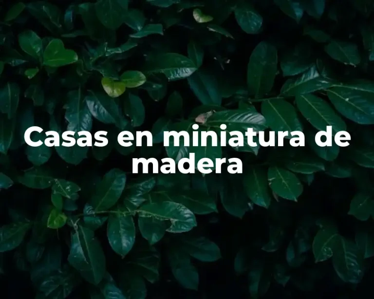 Casas en miniatura de madera