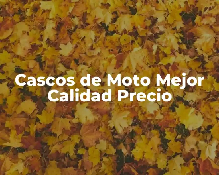 Cascos de Moto Mejor Calidad Precio