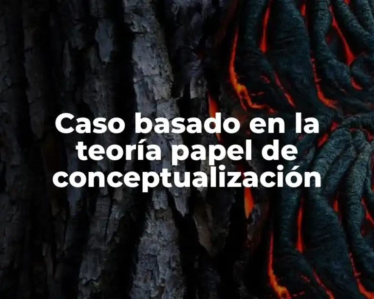Caso basado en la teoría papel de conceptualización