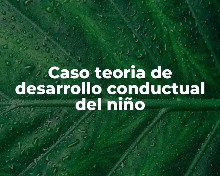 Caso teoria de desarrollo conductual del niño