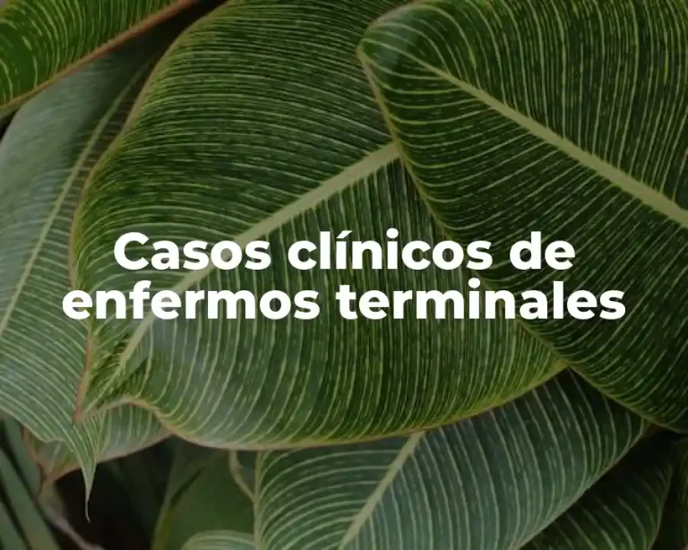 Casos clínicos de enfermos terminales