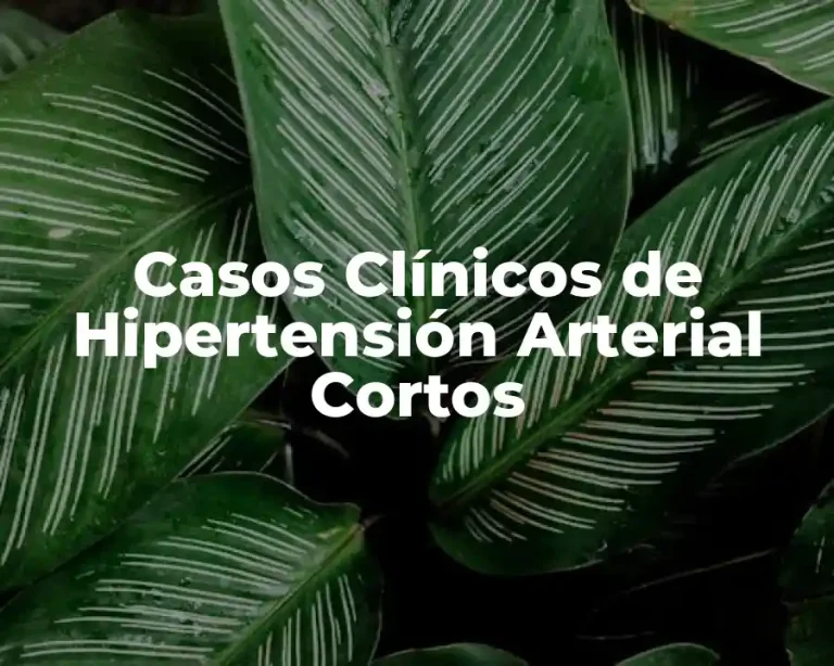 Casos Clínicos de Hipertensión Arterial Cortos