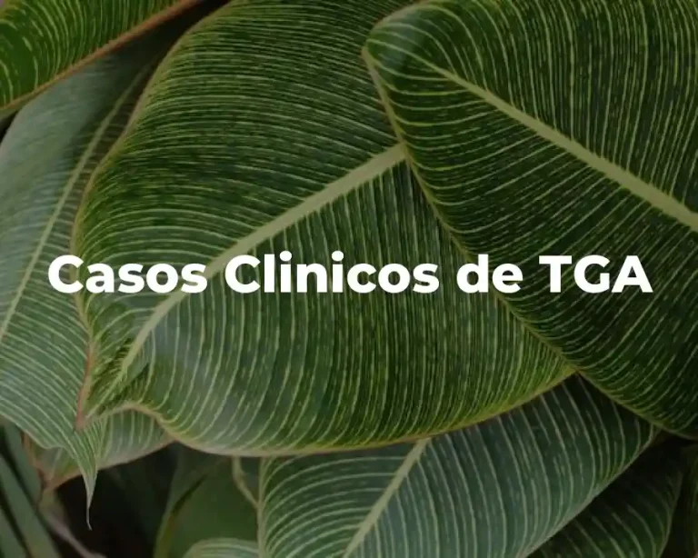 Casos Clinicos de TGA