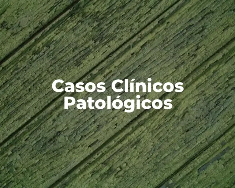 Casos Clínicos Patológicos