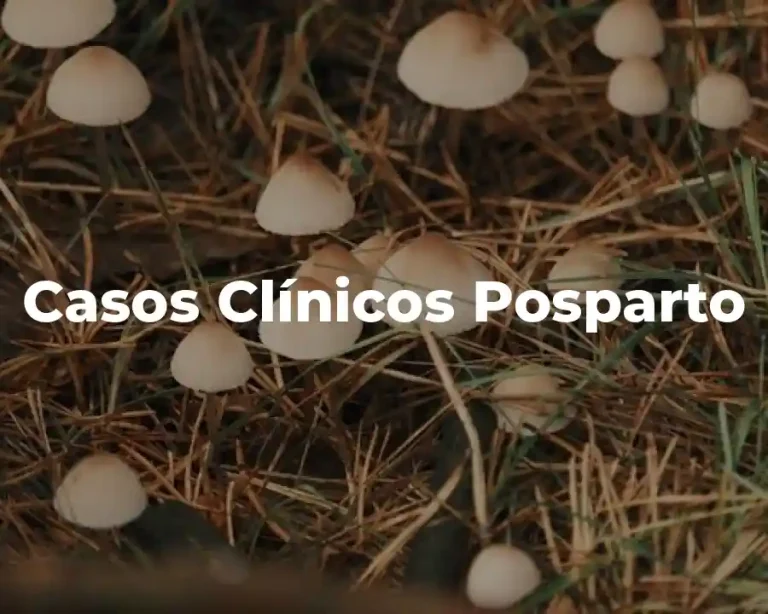 Casos Clínicos Posparto