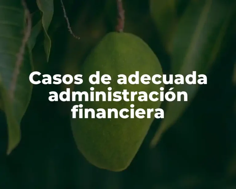 Casos de adecuada administración financiera