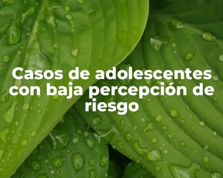 Casos de adolescentes con baja percepción de riesgo