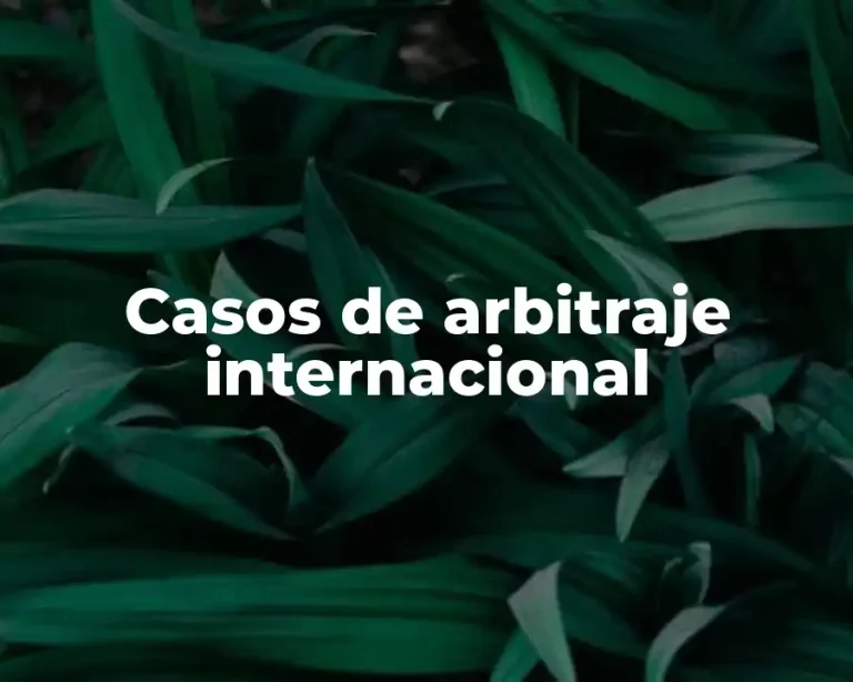 Casos de arbitraje internacional