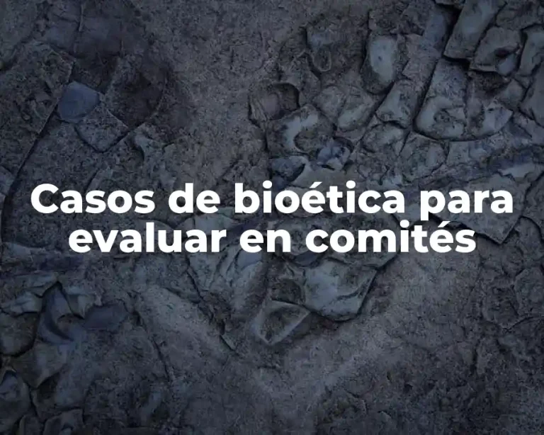 Casos de bioética para evaluar en comités