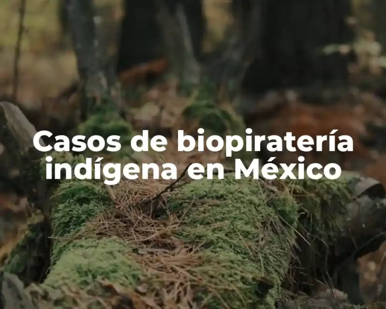 Casos de biopiratería indígena en México