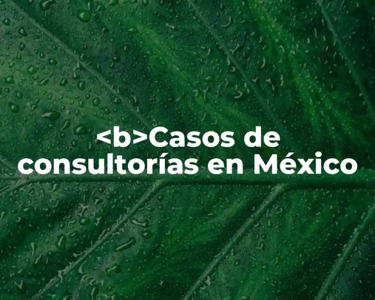 <b>Casos de consultorías en México