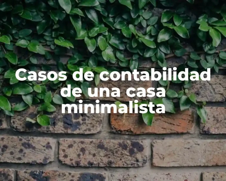 Casos de contabilidad de una casa minimalista
