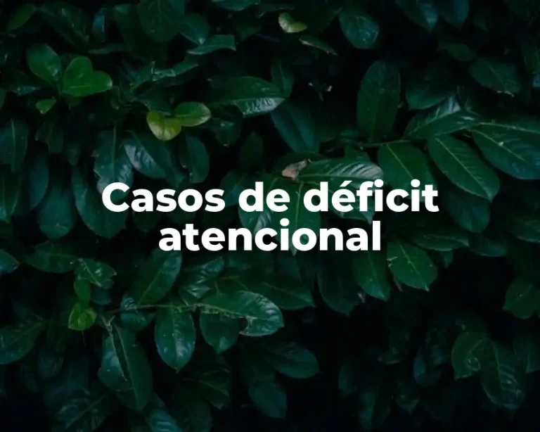 Casos de déficit atencional