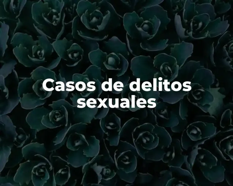 Casos de delitos sexuales