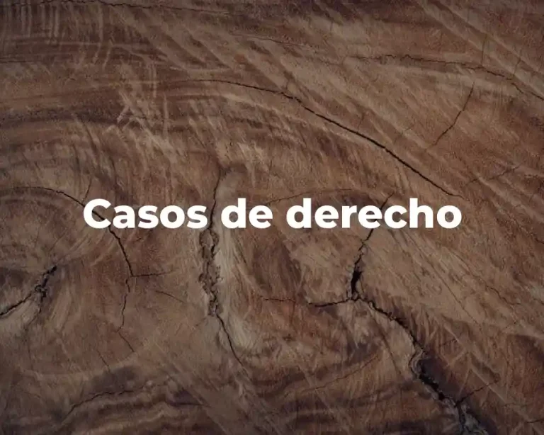 Casos de derecho