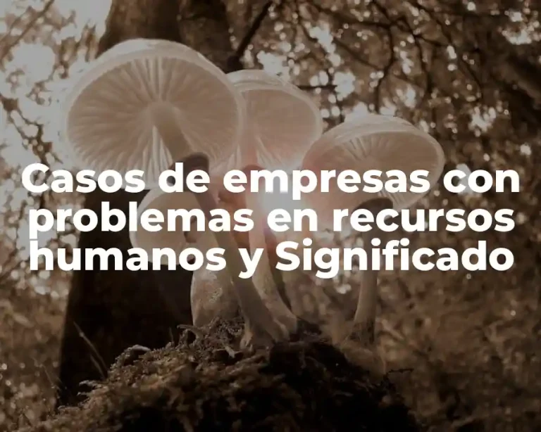 Casos de empresas con problemas en recursos humanos y Significado