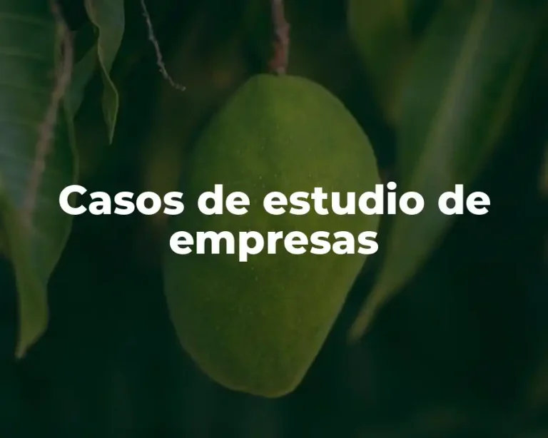 Casos de estudio de empresas