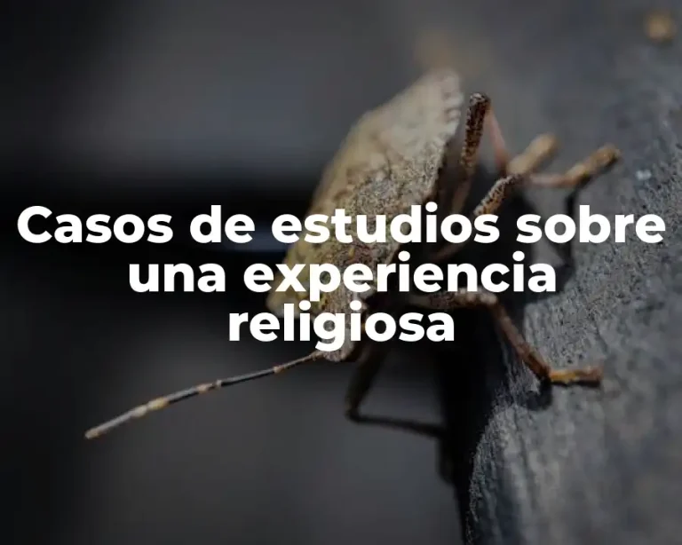 Casos de estudios sobre una experiencia religiosa