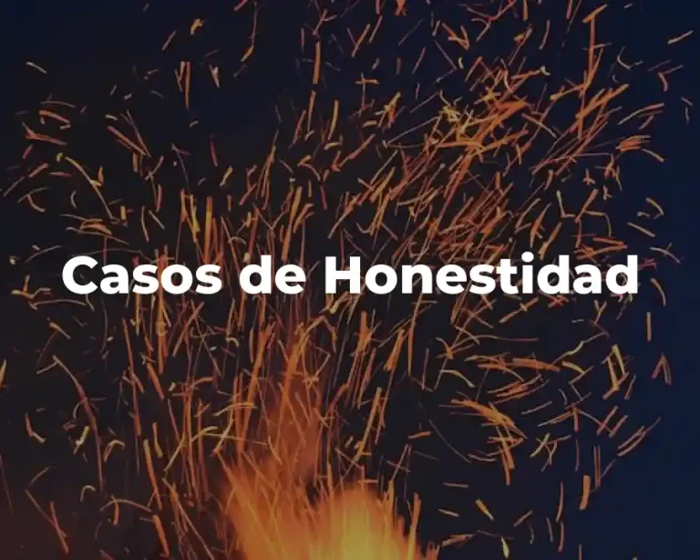 Casos de Honestidad