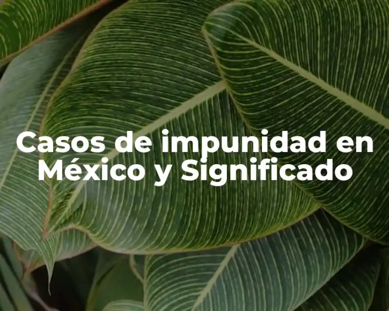 Casos de impunidad en México y Significado