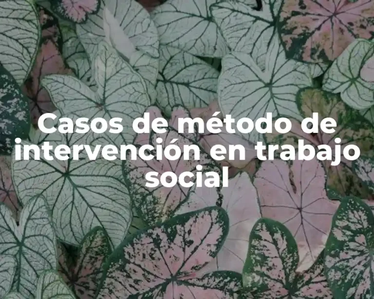 Casos de método de intervención en trabajo social