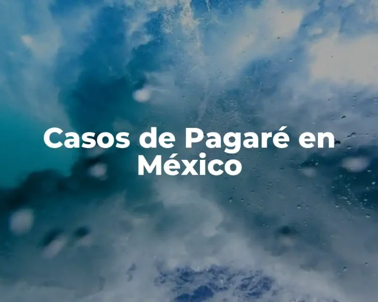 Casos de Pagaré en México