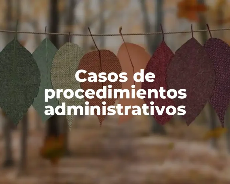 Casos de procedimientos administrativos