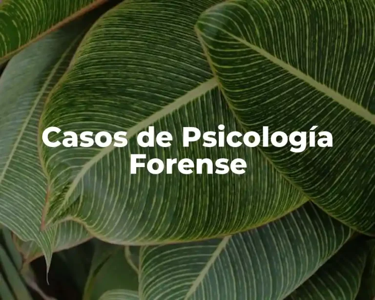 Casos de Psicología Forense