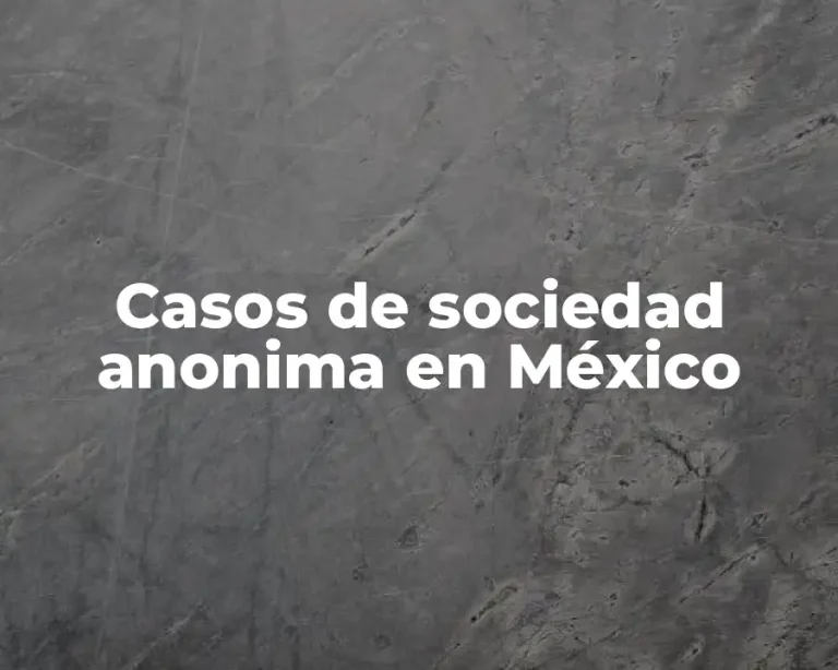 Casos de sociedad anonima en México