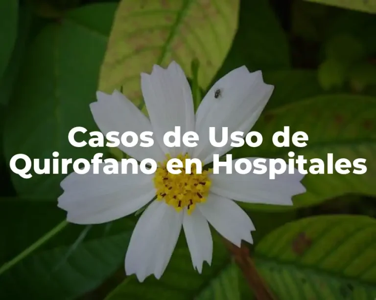 Casos de Uso de Quirofano en Hospitales