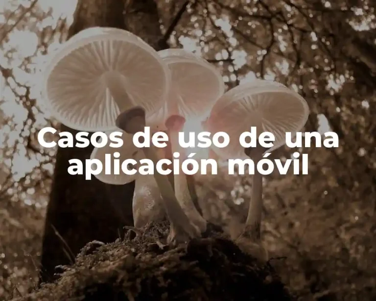 Casos de uso de una aplicación móvil