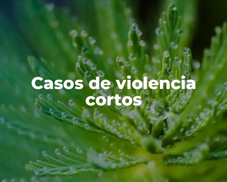 Casos de violencia cortos