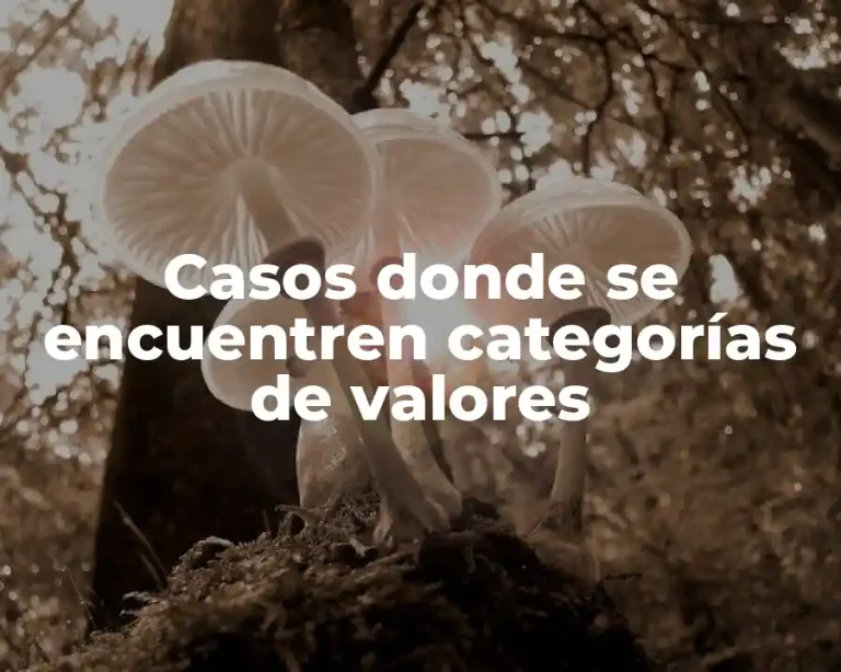 Casos donde se encuentren categorías de valores