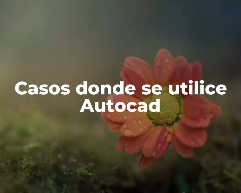 Casos donde se utilice Autocad