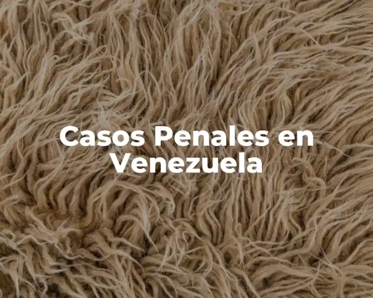 Casos Penales en Venezuela