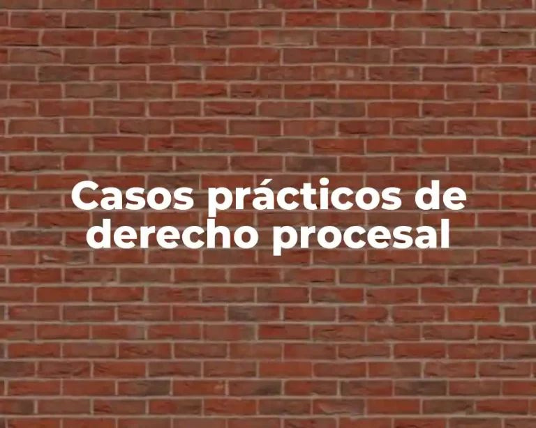 Casos prácticos de derecho procesal