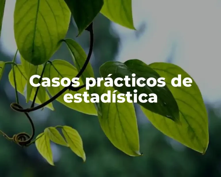 Casos prácticos de estadística