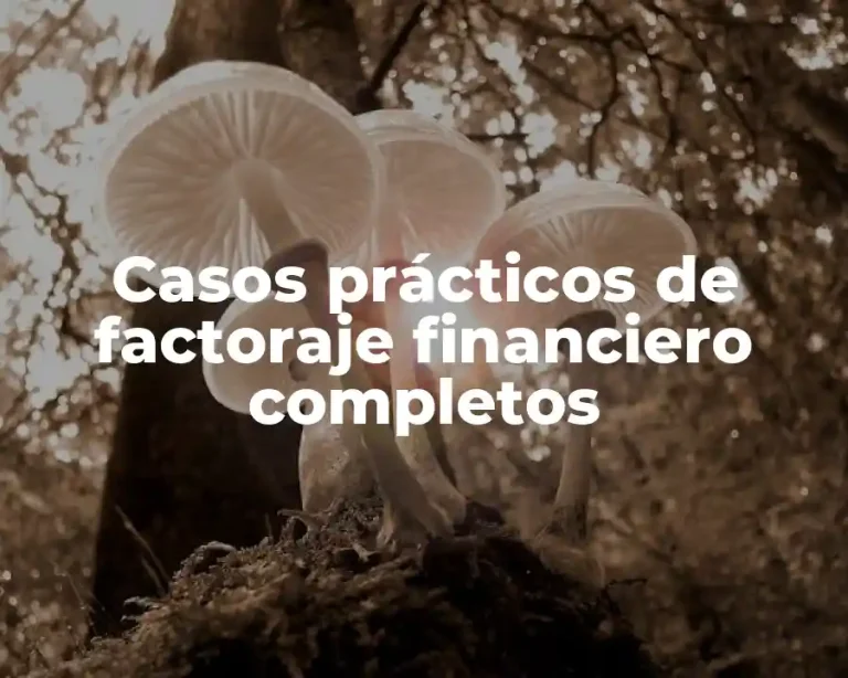 Casos prácticos de factoraje financiero completos