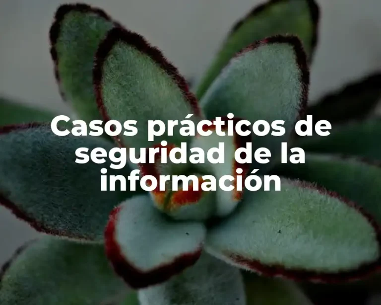 Casos prácticos de seguridad de la información