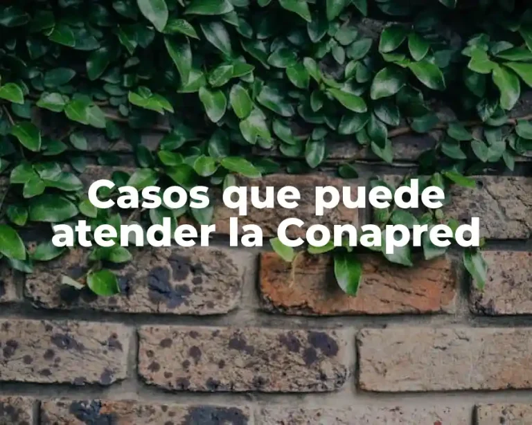 Casos que puede atender la Conapred