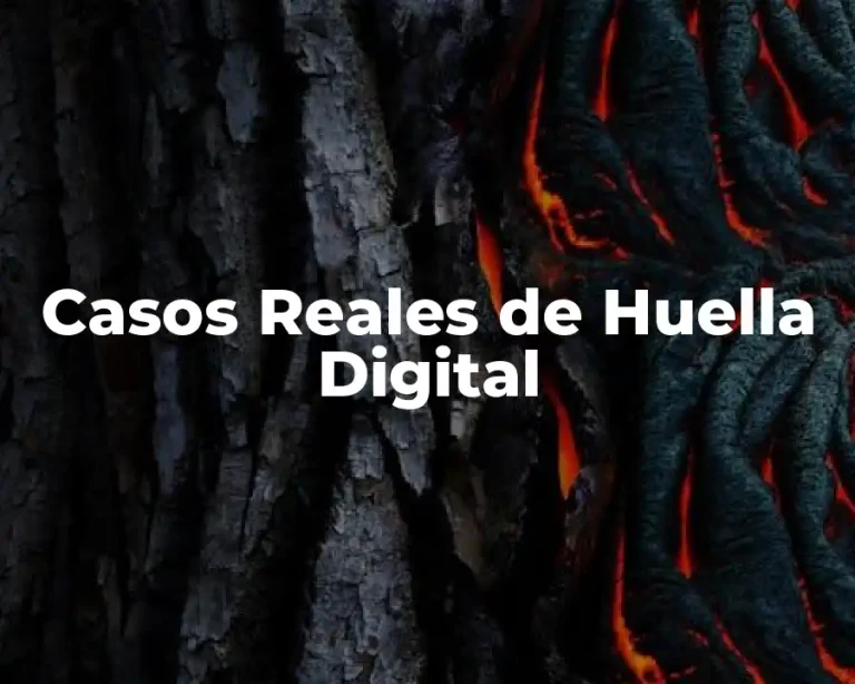 Casos Reales de Huella Digital