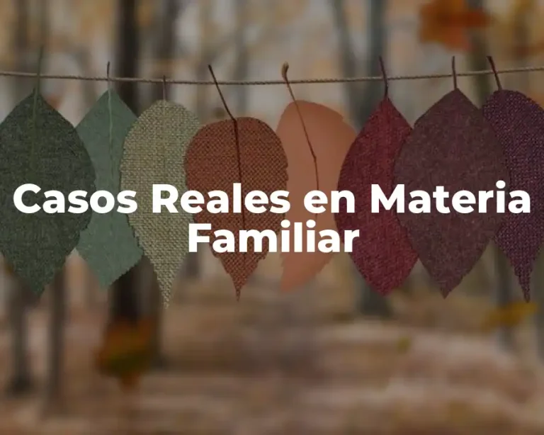 Casos Reales en Materia Familiar
